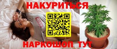 ешки Шебекино