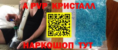 СК Шахты