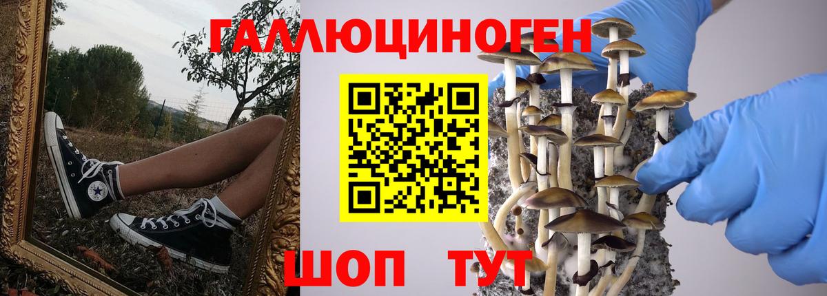 Бошки Шишки  Alpha PVP СОЛЬ   Вичуга  ГАШИШ  Вход с VPN  ЭКСТАЗИ  Cocaine  МЕТ  Мефедрон кристаллы 